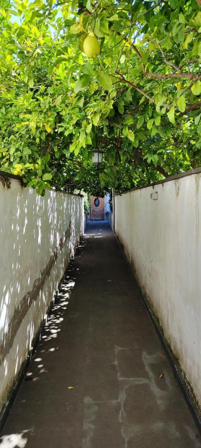 Casa Teresinella Garden Apartment Torre Annunziata Exterior photo